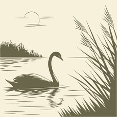 A serene silhouette of a swan gliding on water