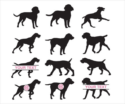 German Wirehaired Pointer svg, German Wirehaired svg, German Wirehaired Pointer Vector, Dog Breed Silhouette PNG, Hunting Dog svg