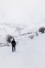 Person Snowshoeing in Snowy Winter Landscape with Bare Trees and Mountain Views in Leon province, Spain