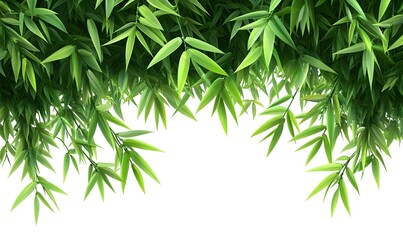 Obraz premium Lush green bamboo foliage border, isolated, nature backdrop, website design