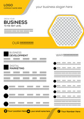 business flayer design 