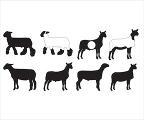 Obraz premium Show Sheep svg, Show Lamb SVG, Show Sheep Outline, Show Animal PNG, Show Sheep Monogram, Market Lamb Silhouette, Livestock Show svg