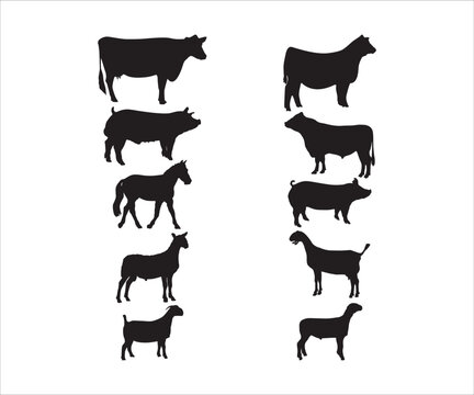 Show animal SVG, Show animal bundle SVG, show animal clipart, small commercial license included, show livestock graphic, show pig SVG