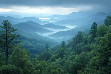 Obraz premium Misty Mountains Blue Ridge Skyline Forest Trees