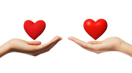 Hands holding heart line and solid icon isolated on a white background