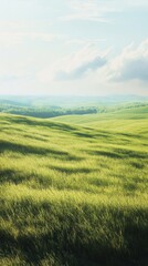 Obraz premium A serene green landscape showcasing rolling hills under a bright sky.