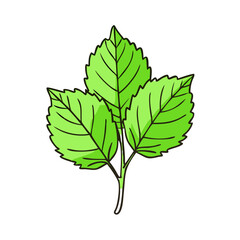 Illustrated green leaves with detailed veins, A simple and vibrant illustration of three green leaves with detailed veins, showcasing a fresh, natural look. 

