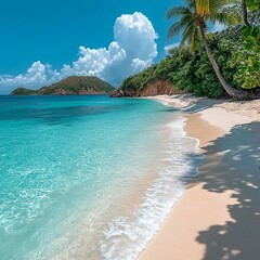 Fototapeta premium beach