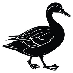 Black and white duck silhouette for nature and wildlife themes