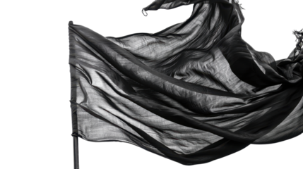 Black flag waving, silk on transparent background