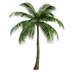 Obraz premium Modern 3D Rendered Palm Tree Concept Model with Sleek Design and Tropical Aesthetic Isolated on Transparent Background