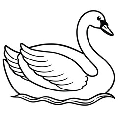 white swan on the water