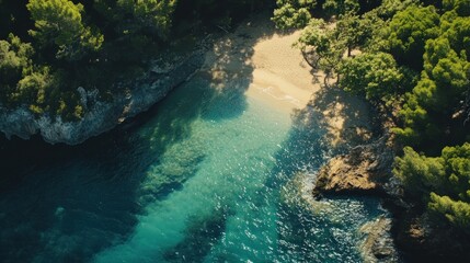 Aerial view of a secluded beach cove with clear turquoise water and surrounding trees