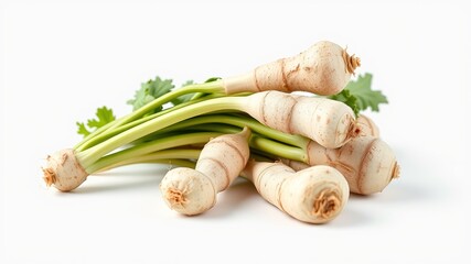 Fresh Horseradish Roots - Closeup Harvest