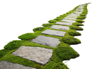 Walkway in the park isolated on transparent background.