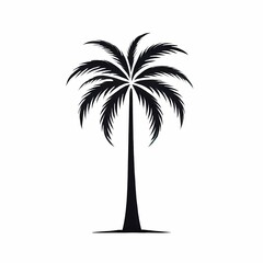 palm tree silhouette