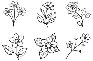 Set of Floral Vector Illustrations - Elegant Flower Designs for Graphics and Crafts