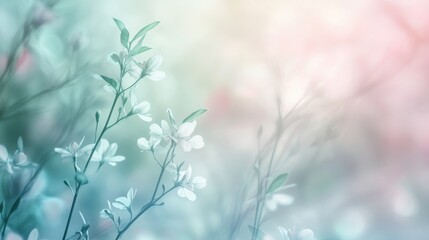 Fototapeta premium Delicate Blossoms in Soft Hues: An Ethereal Floral Scene with Gentle Pastel Tones