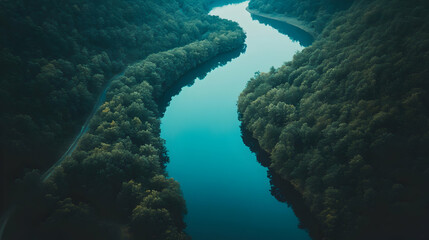 Serene Aerial View of Winding River Surrounded by Lush Green Trees