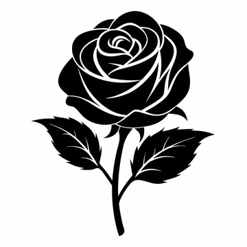 recommend clip art: Rose Flower black silhouette vector illustration