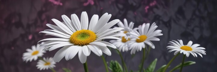Fototapeta premium White daisy flower with neon abstract background, nature, vibrant, neon