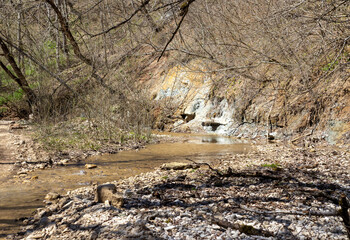 sunny day, nature park, river bottom, walk along the riverbank with an overview of the bottom structure