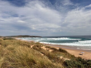 The Philip Island Penguin Parade, located in Victoria, Australia, is a famous wildlife experience where visitors watch little penguins return to their burrows at sunset.