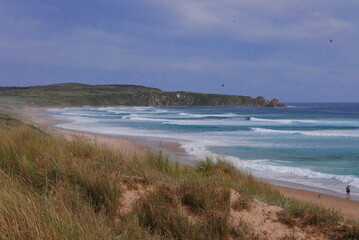 The Philip Island Penguin Parade, located in Victoria, Australia, is a famous wildlife experience where visitors watch little penguins return to their burrows at sunset.