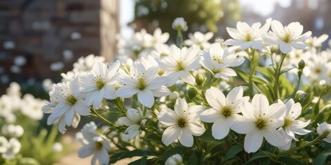 Fototapeta premium Close-up of white flowers blooming in the morning light, vibrant, fresh, spring, delicate, petals