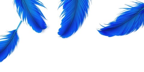 A cluster of vibrant blue feathers arranged artfully against a crisp white backdrop creates visual interest and contrast, vibrant blue feathers, artistic