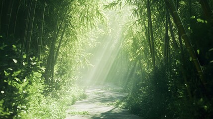 Obraz premium Serene Bamboo Forest Pathway with Dappled Sunlight – Generative AI