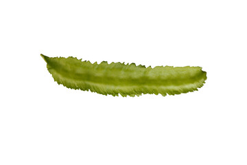 winged bean isolated on white , vegetable isolated , 