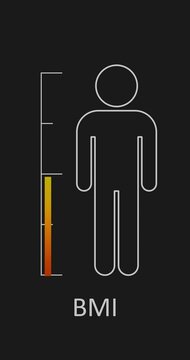 Measuring gradient scale with man simple outline silhouette. Body mass index level measuring device. Infographic gauge element.