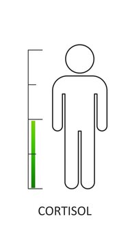 Measuring gradient scale with man simple outline silhouette. Hormone cortisol level measuring device. Infographic gauge element.