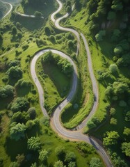 Aerial view of lush green landscape with winding road, nature, top view