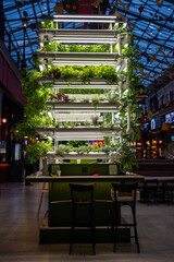 Hydroponic smart vertical farm growing edible spice plants and microgreens for sale, cultivating organic lettuce, basil and mint. Sustainable solution for urban gardening and organic food produce