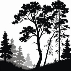 Obraz premium Midnight Forest vector silhouette black design white background