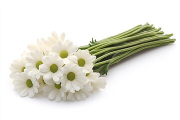 Fototapeta premium A beautiful bouquet of white daisies with green centers, showcasing their delicate petals and fresh green stems, perfect for any occasion.