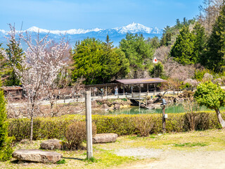 Gassho-zukuri settlement, building in Gifu style, old classic house style in Gifu area of Japan, for durable and protection from cold in winter 