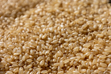 玄米の粒のクロースアップ