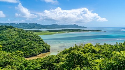 Fototapeta premium Scenic Island View with Lush Greenery and Clear Turquoise Water Under a Cloudy Sky