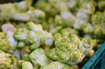 A close-up of jade baby bok choy, scientifically known as Brassica juncea. Resembling a mother with...