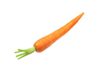 carrots on white background