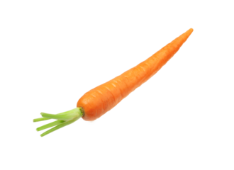 carrots on white background