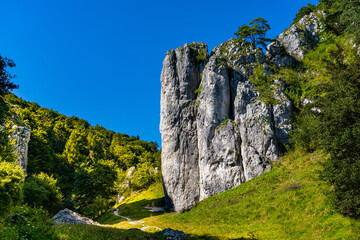 Dolina Bolechowicka Valley with Brama Bolechowicka Gate rocks of Cracow Valleys landscape park within Cracow-Czestochowa Jurassic natural reserve in Lesser Poland