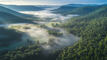 Fototapeta premium An aerial perspective of a mountain valley covered in morning mist
