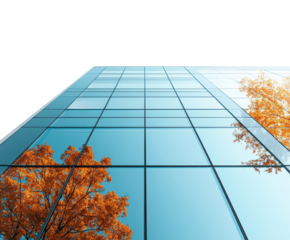 Reflections of autumn trees modern glass building urban setting architectural low angle view