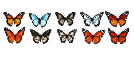Fototapeta premium A colorful array of butterflies showcasing diverse patterns and vibrant wings. transparent background