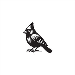 Black Silhouette Vector bird on a branch