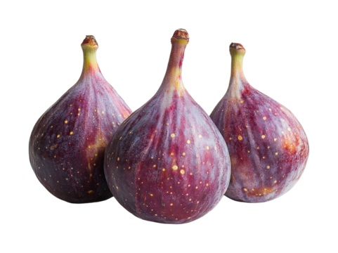 Harvesting ripe fig fruits food minimalist style close-up view